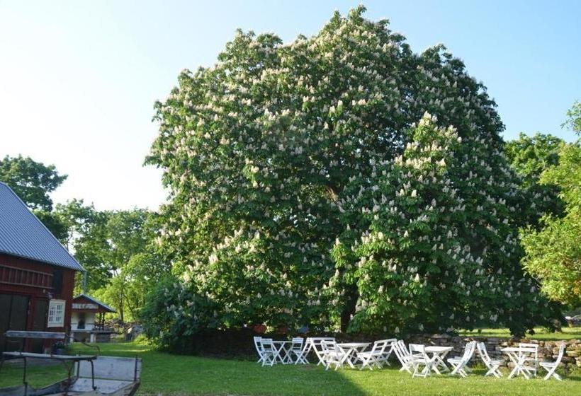 Rosenborgs Friluftspensionat