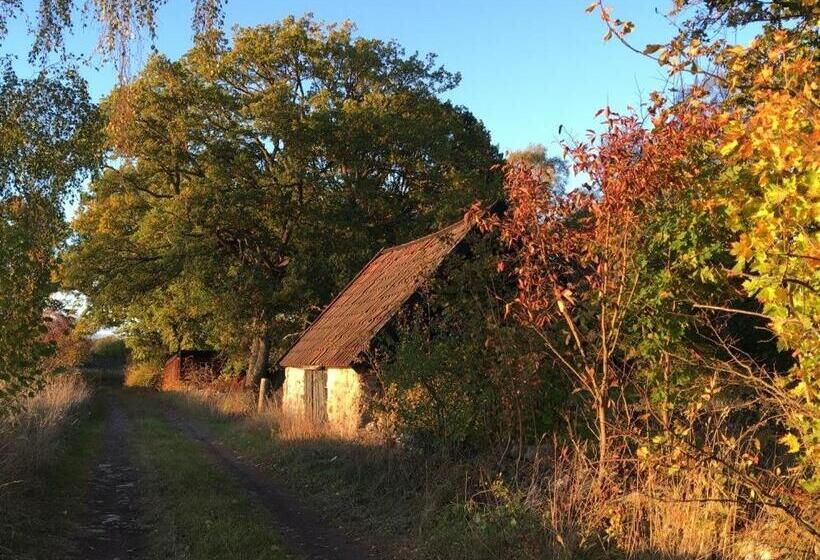 Rosenborgs Friluftspensionat