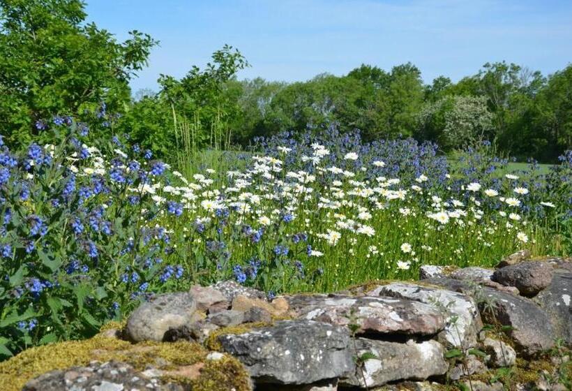 Rosenborgs Friluftspensionat