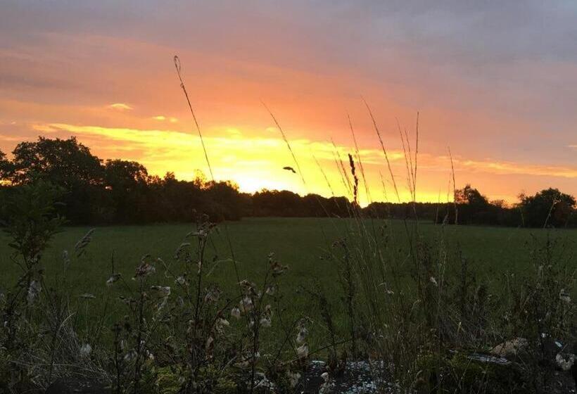 Rosenborgs Friluftspensionat