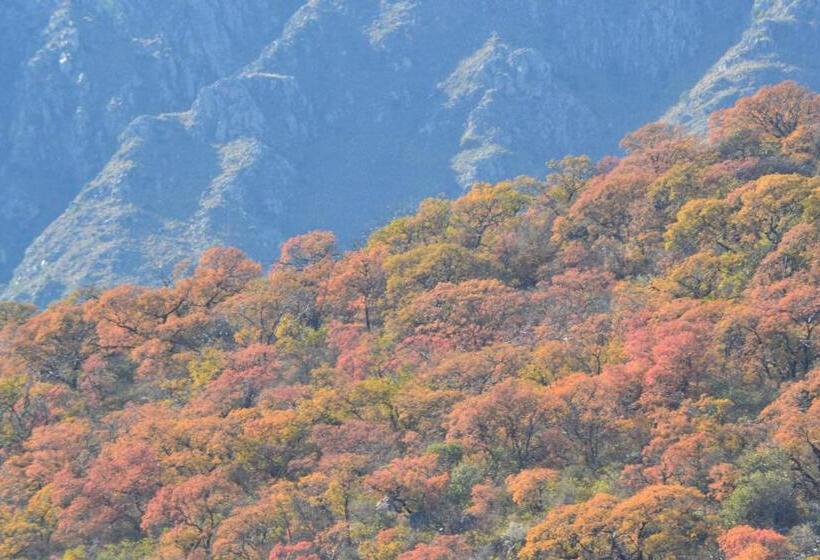 Hostel Cabañas Los Relinchos