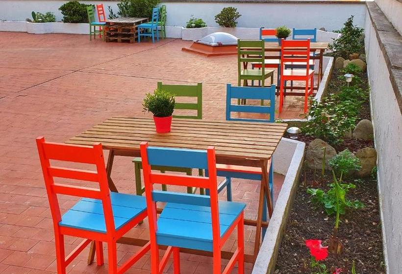 بنسيون Life Magenta