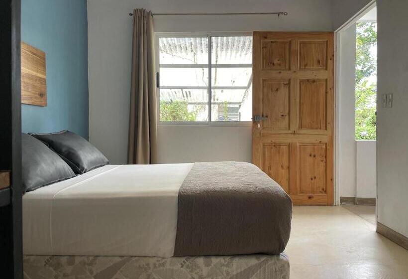 هاستل La Tica Y La Gata