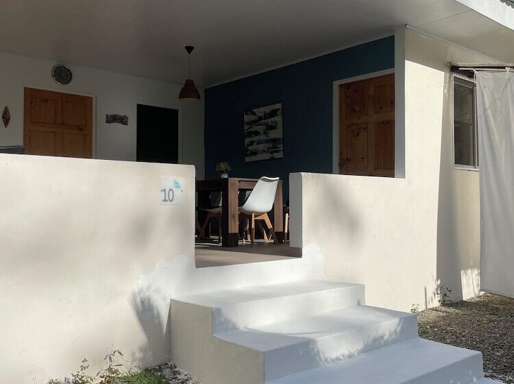 هاستل La Tica Y La Gata