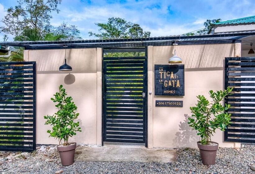 هاستل La Tica Y La Gata