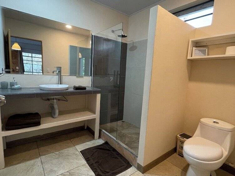 هاستل La Tica Y La Gata