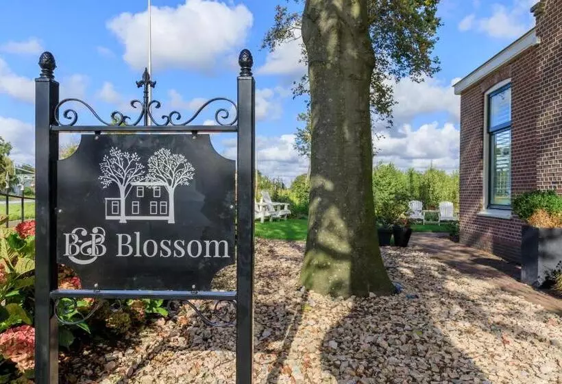 B&b Blossom