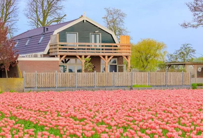 B&b Blossom