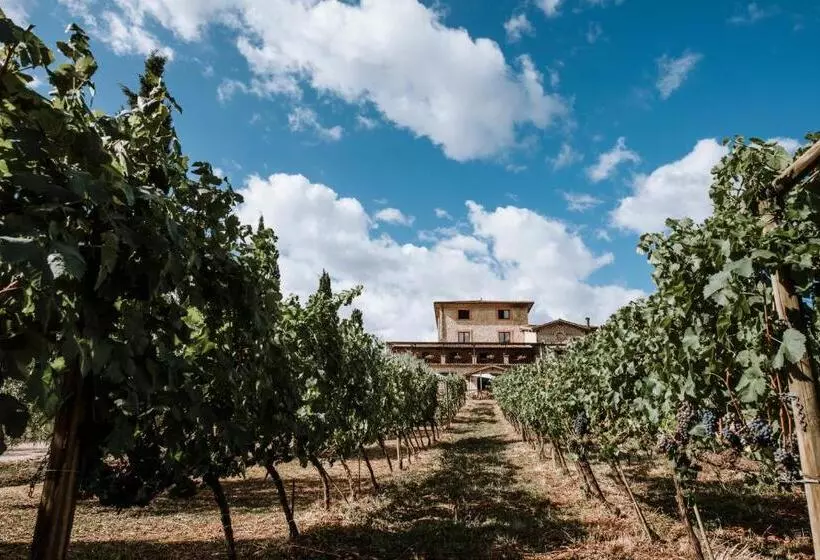 ホテル Casale Verdeluna Wine Resort