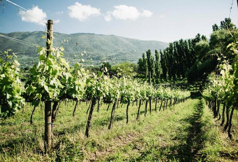 בית מלון כפרי Casale Verdeluna Wine Resort