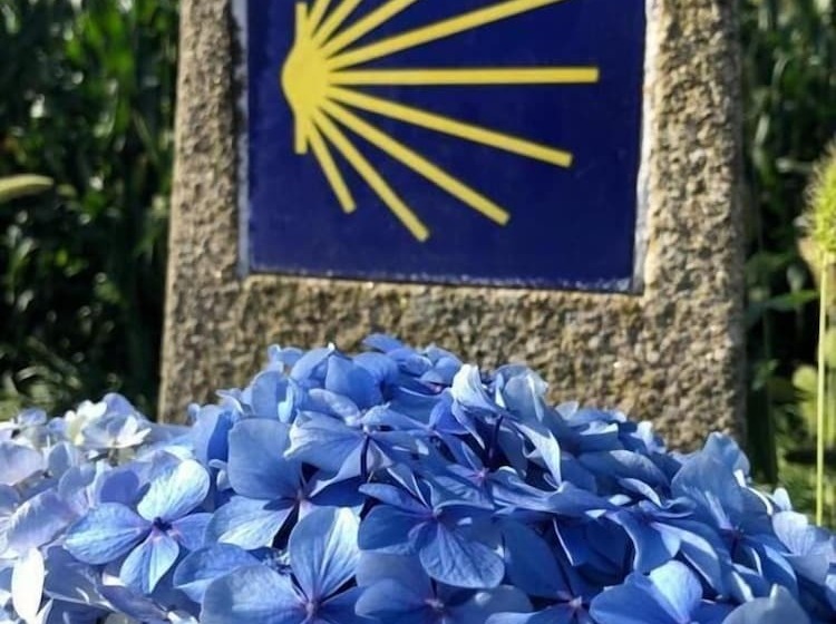 Albergue Ponte Olveira   Hostel