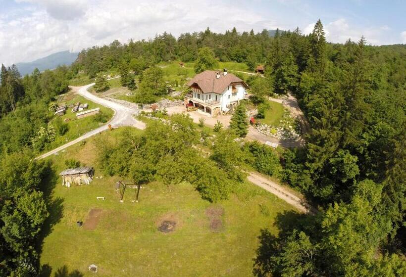 تختخواب و صبحانه Miškar Rooms