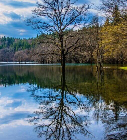 تختخواب و صبحانه Miškar Rooms