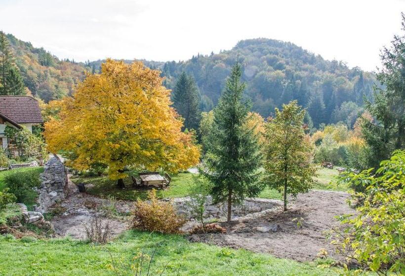 تختخواب و صبحانه Miškar Rooms