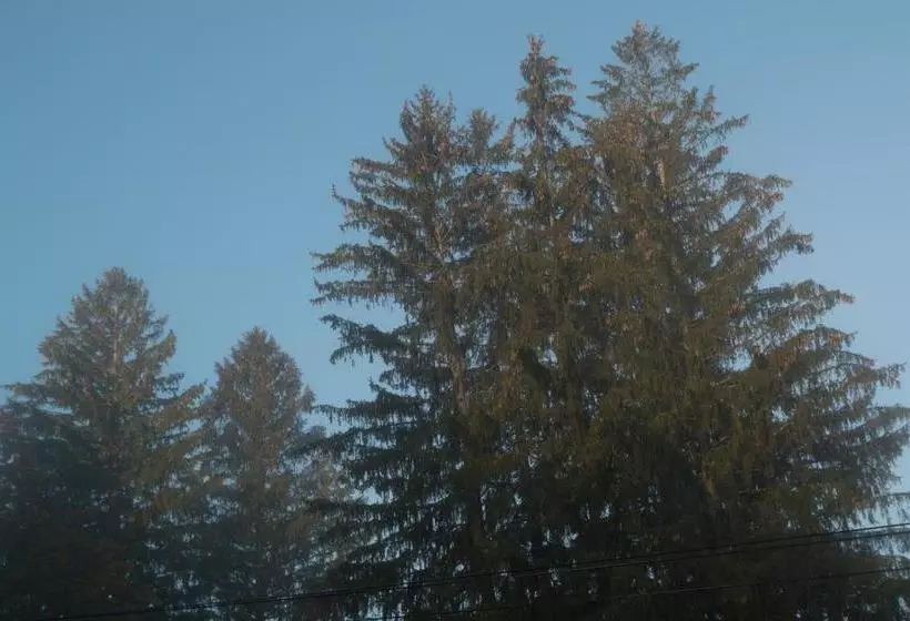 Aamiaismajoitus (B&B) Mountain View Green Retreat