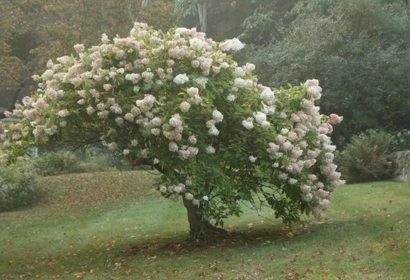 Aamiaismajoitus (B&B) Mountain View Green Retreat