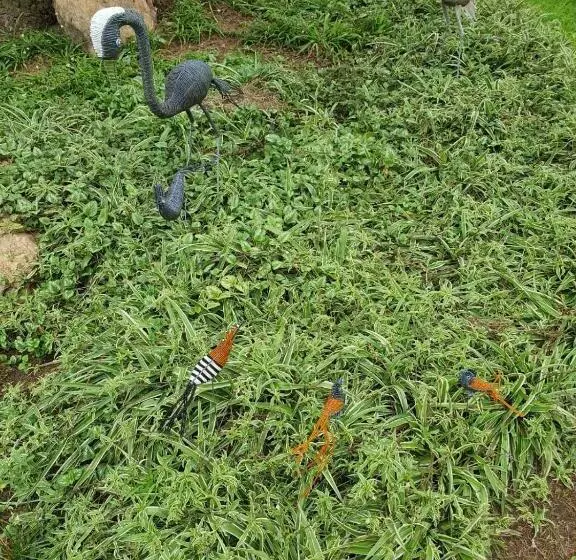 پانسیون Domba Self Catering Suites