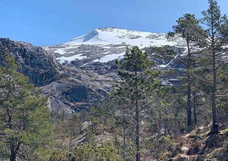 ペンション Husnes Sentrum Hotell