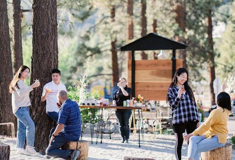 فندق صغير Grand Pine Cabins