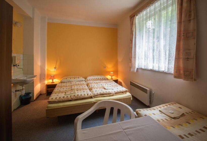 הוסטל Pension Palla