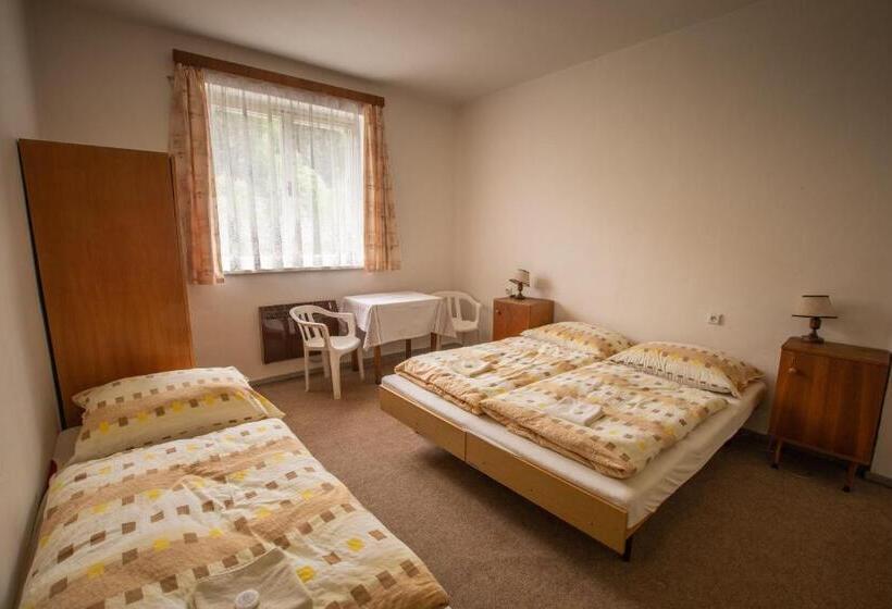 הוסטל Pension Palla