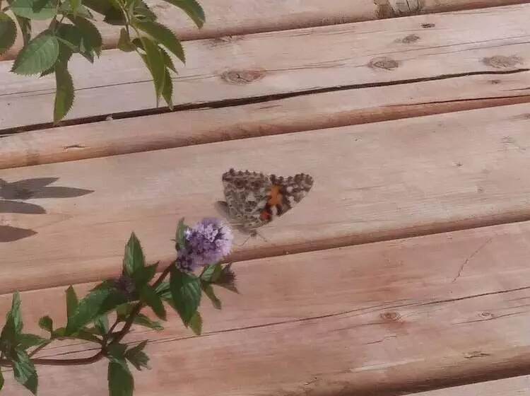 ホテル Auberge Du Lac Tiblemont