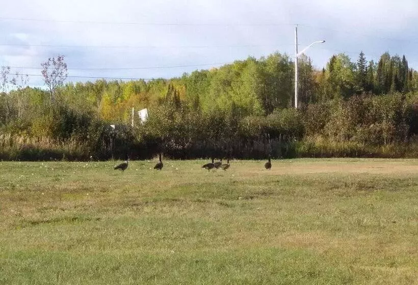 ホテル Auberge Du Lac Tiblemont