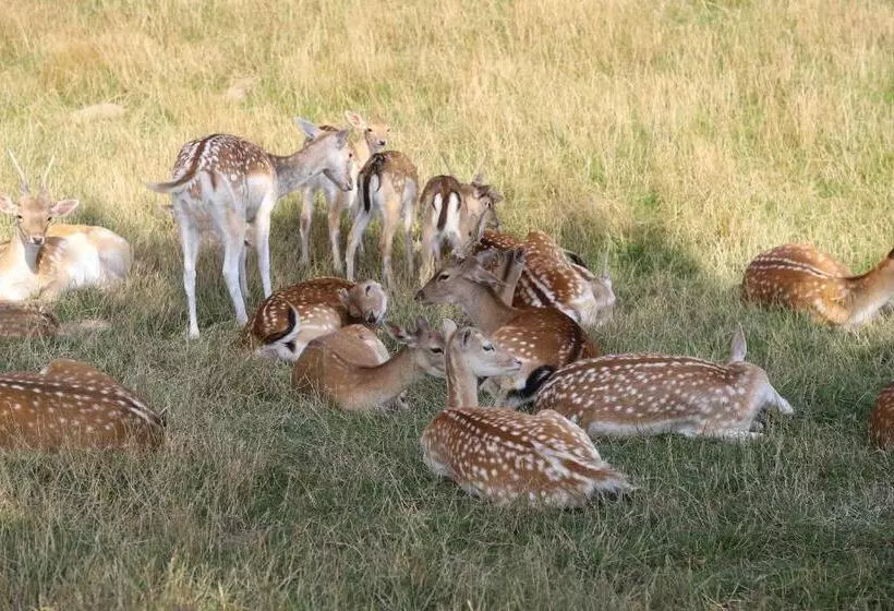Majatalo Haus Berkenkamp
