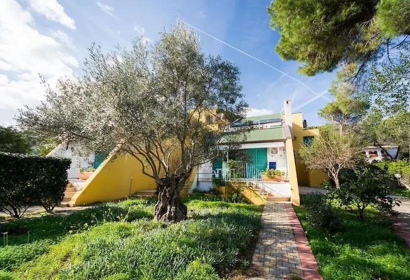 Hotiday Apartment Collection   Villa Alba