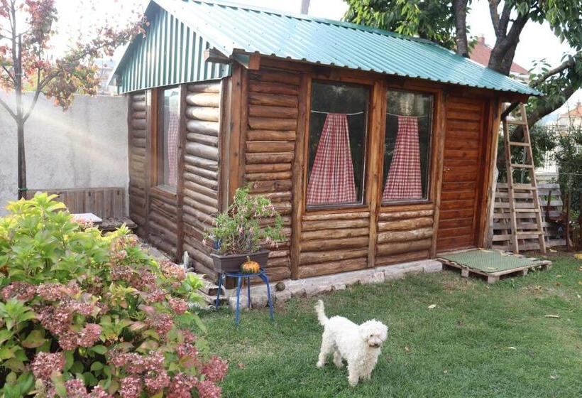 تختخواب و صبحانه Frile Apartments