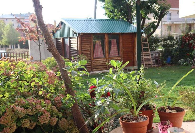 تختخواب و صبحانه Frile Apartments