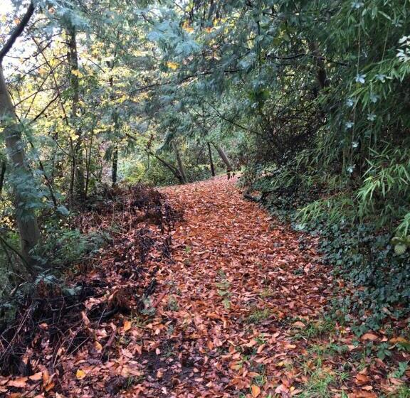 هتل Family Orchard Bed & Breakfast