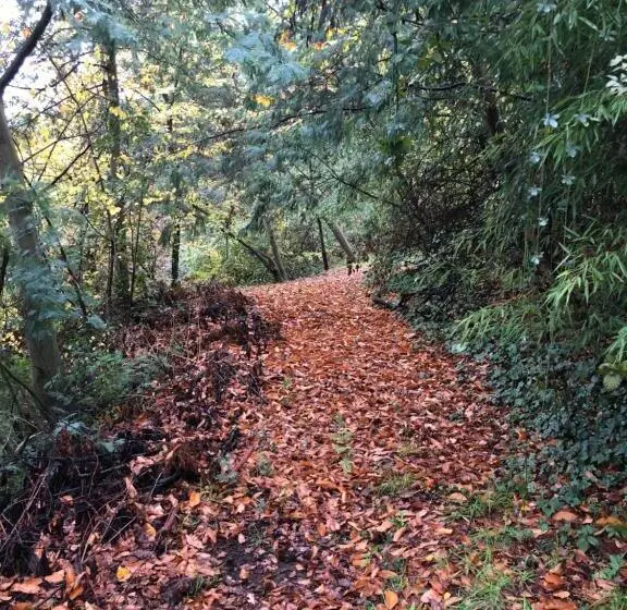 Hotelli Family Orchard Bed & Breakfast