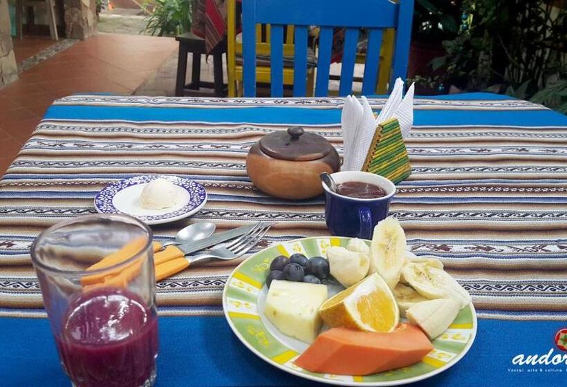 پانسیون Andoriña Hostal Bed & Breakfast