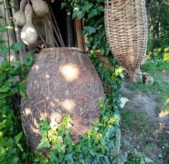 پانسیون Guest House Knarik