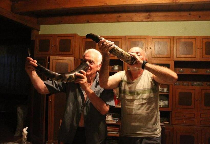 پانسیون Guest House Knarik