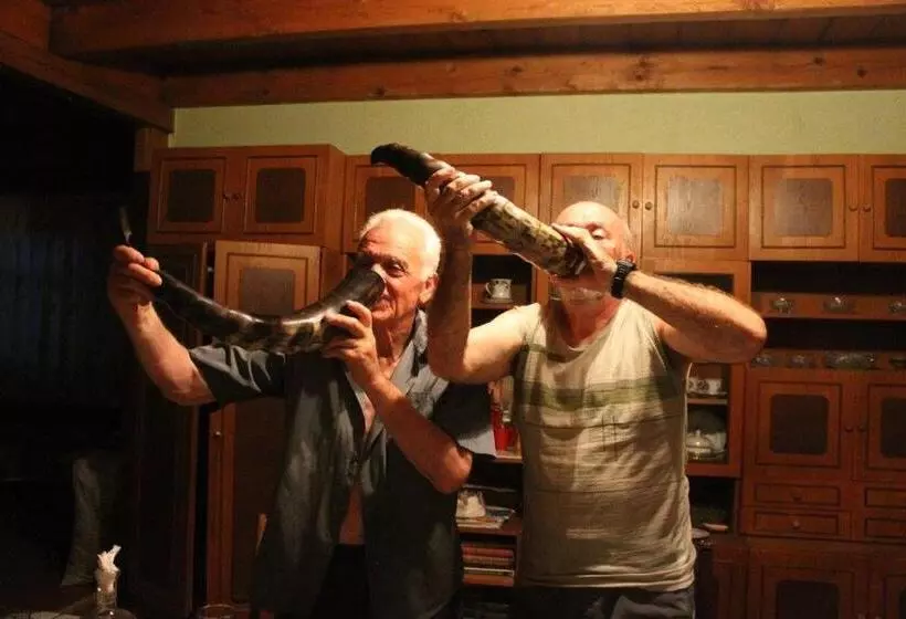 پانسیون Guest House Knarik