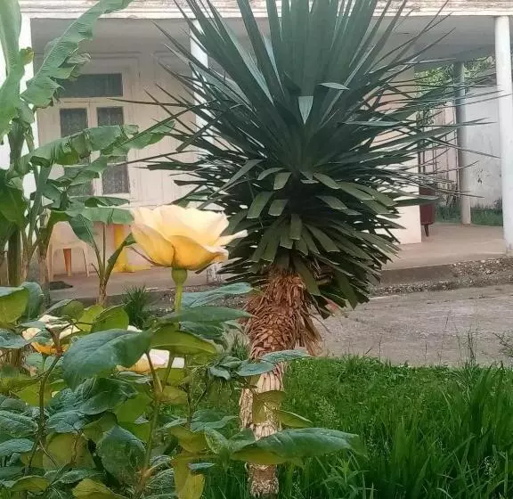 پانسیون Guest House Knarik