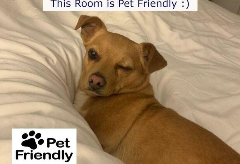 בית מלון כפרי Catskill Seasons Inn