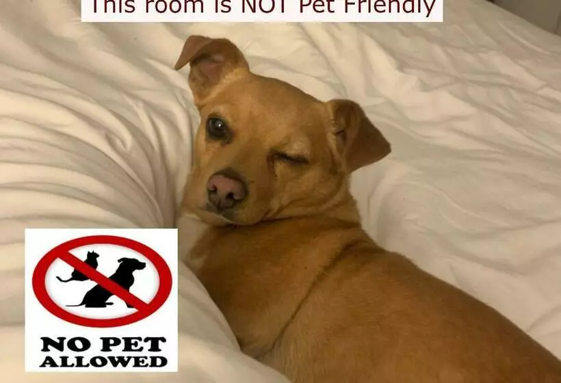 Hotelli Catskill Seasons Inn