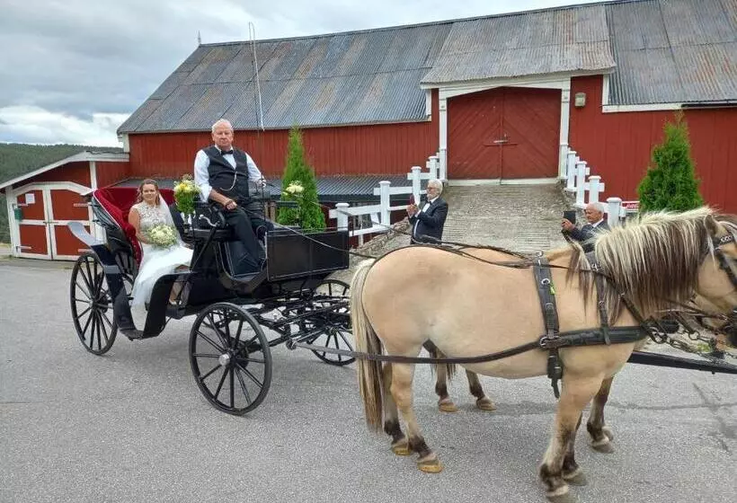 Hotelli L Eikerapen Gjestegård åseral