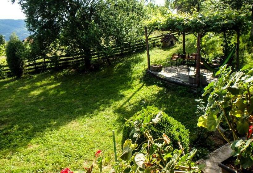 پانسیون Guest House Little Heaven