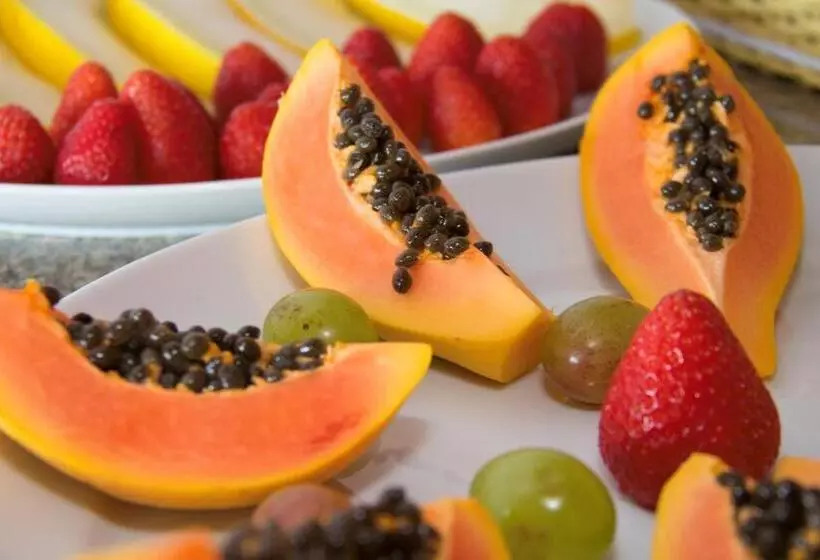 ペンション Pousada Colina Das Andorinhas