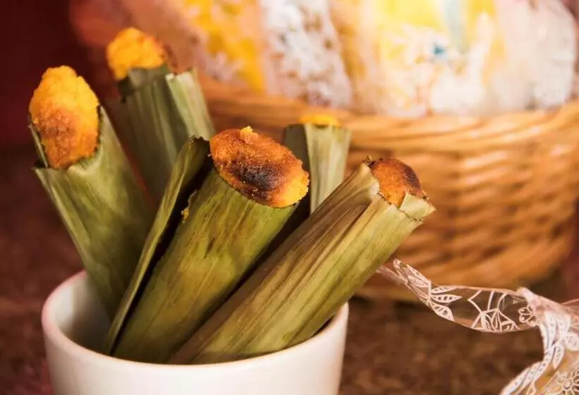 ペンション Pousada Colina Das Andorinhas