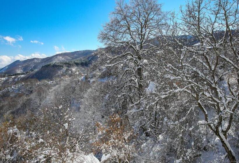 膳宿费 Yancheva Guest House