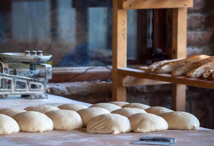 هاستل Chateau Napareuli