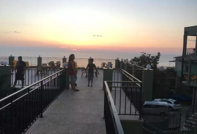 هاستل Inn David