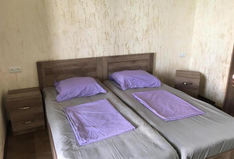 هاستل Inn David