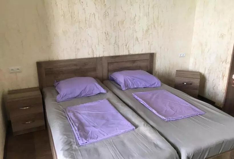 هاستل Inn David