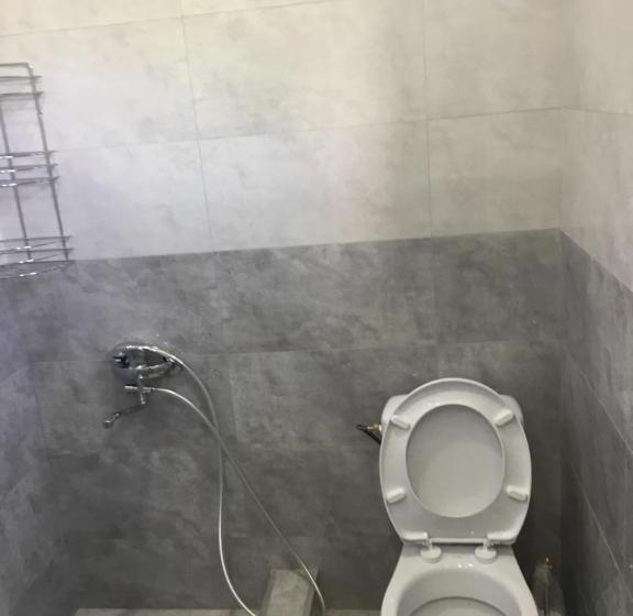 هاستل Inn David